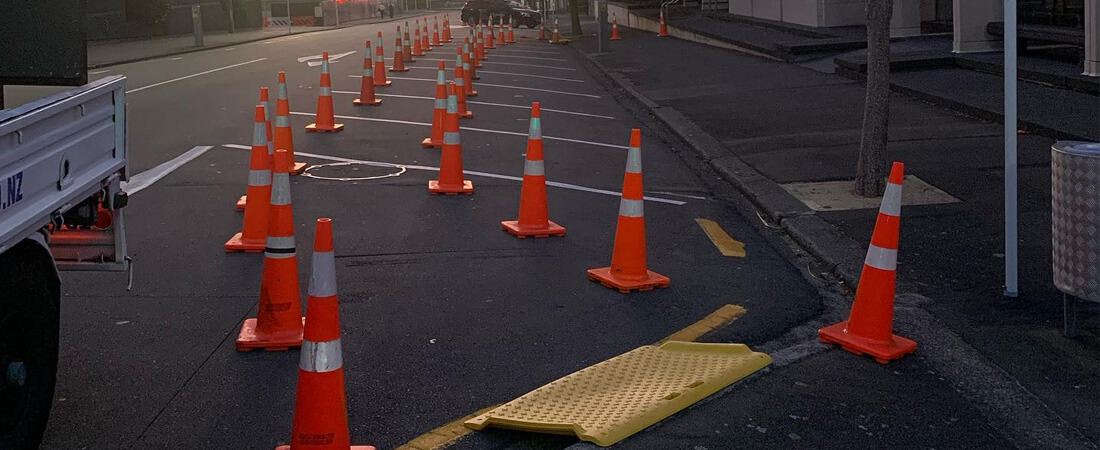 Road User Licenses in Wellington